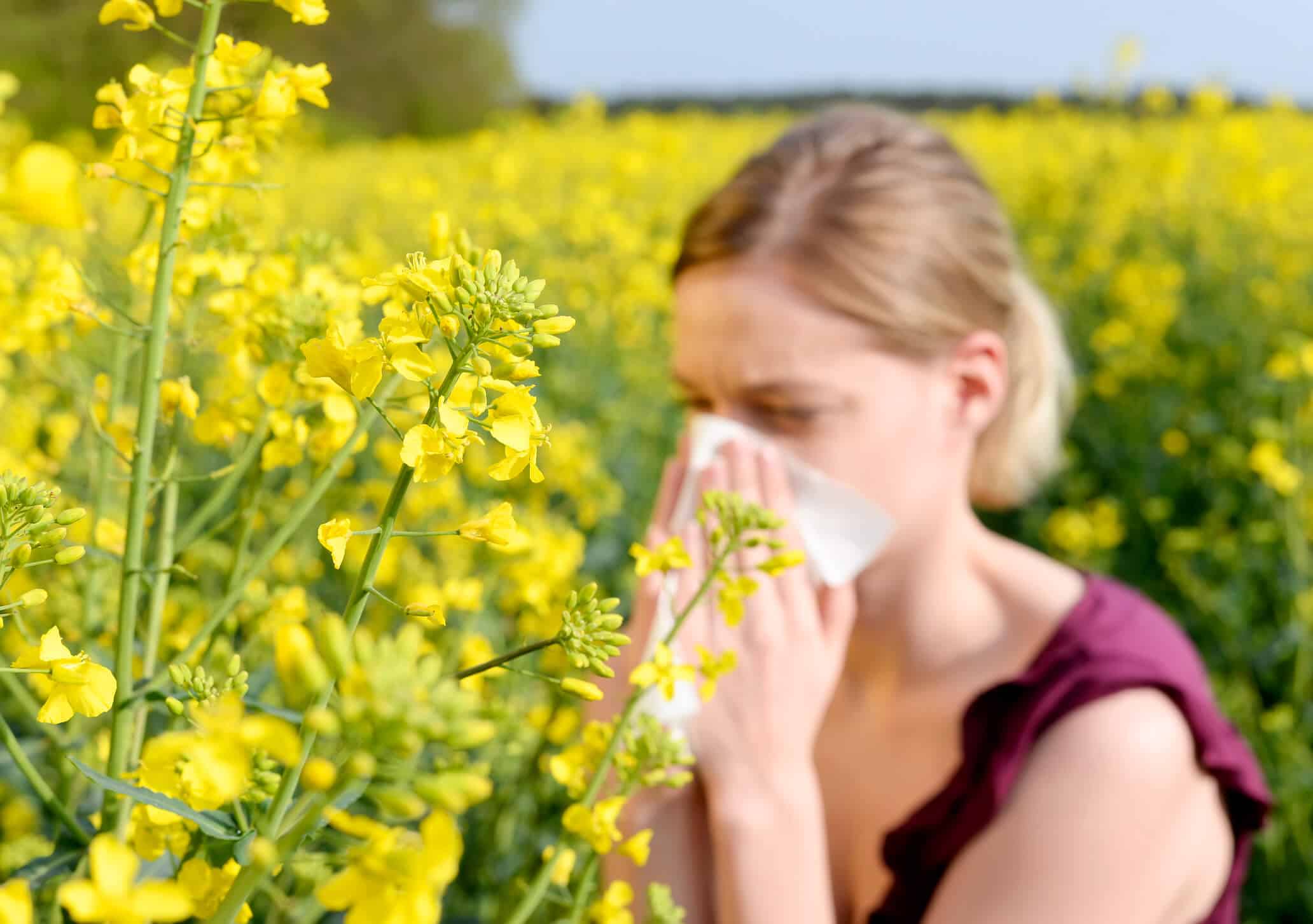 allergies
