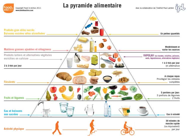 pyramide alimentaire pyramide alimentaire