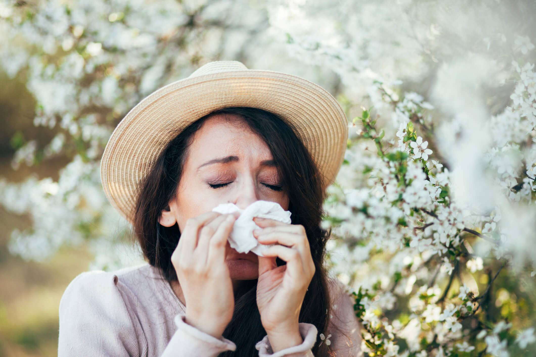 Ordonnance antihistaminiques : traitement des allergies