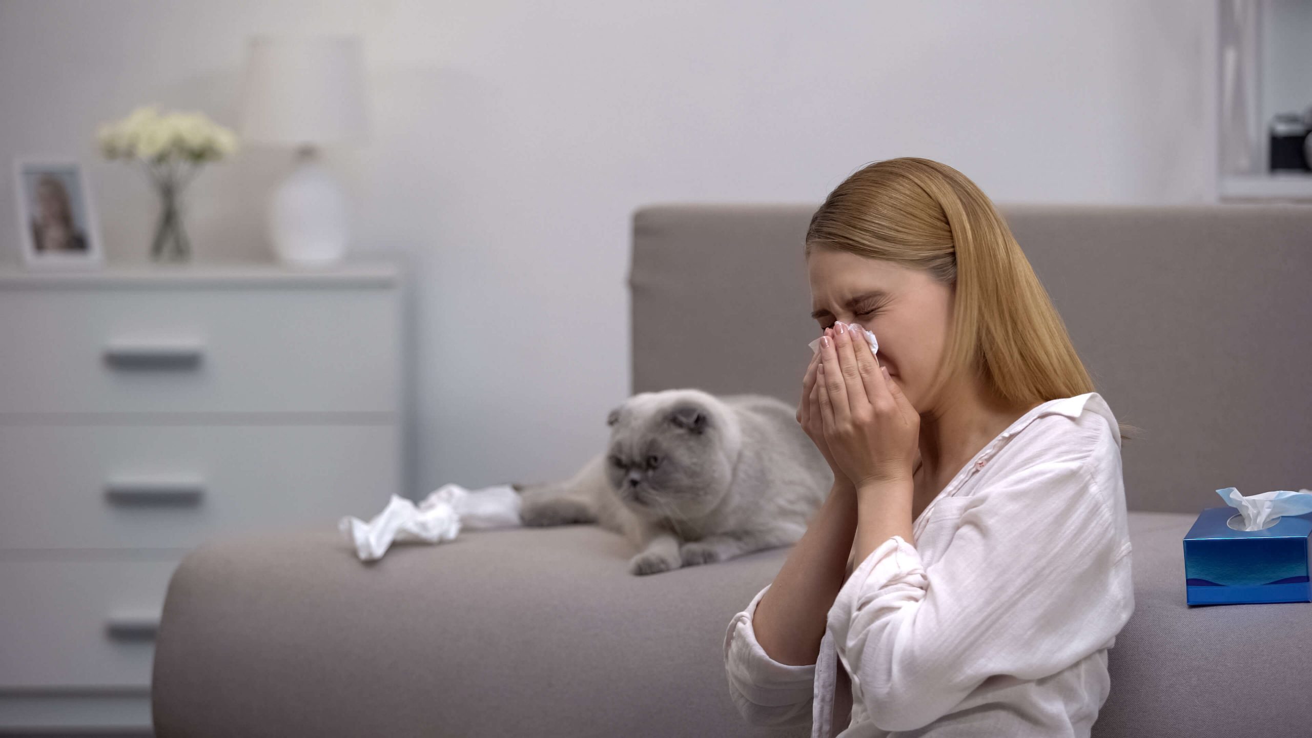 Allergie chat